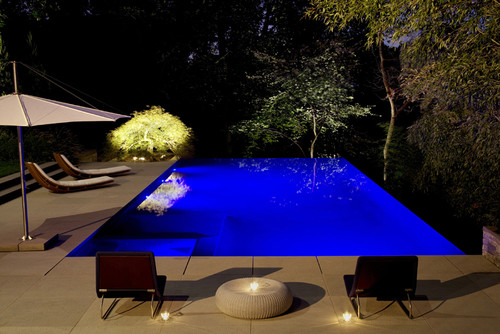 Modern Infinity Pool Landscape