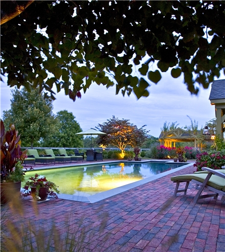 Poolside Trees and Flowers