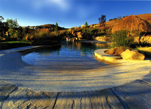 Tropical Beach Like Pool Landscape